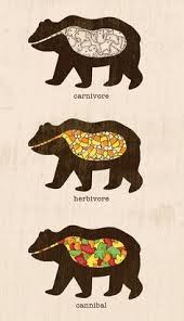 「http://naturalearthdata.com/forums teddy」的圖片搜尋結果