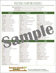 Zone 8 Vegetable Garden Planting Schedule Etsy