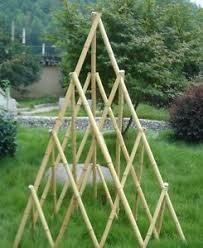 Bamboo Cane Garden Pyramid Trellis Climbing Plant Support Wooden Obelisk 180cm Climbing Plant Support Obelisk Trellis Climbing Plants