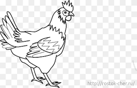 Maybe you would like to learn more about one of these? Silkie Png Pngwing