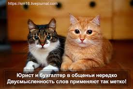 Это дело жизни, это хлеб твой, о них ты знаешь все не понаслышке. Obshenie Buhgaltera I Yurista Na Grani 16 Sm18 Livejournal