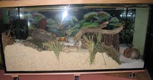 Saricat Meine Zwerghamsterbande Hamster Cages Hamster Care Hamster Diy