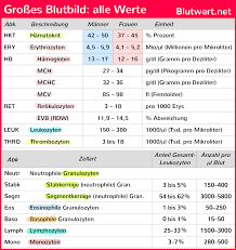 Grosses Blutbild Optimale Werte Und Einfache Erklarungen