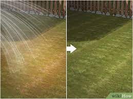 4 Ways To Care For Your Lawn In The Summer - Wikihow