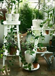 Conocer las mejores plantas para cestas colgantes nos permitirá poder crear verdaderas maravillas. Curso Combinar Y Distribuir Plantas De Exterior Ikea