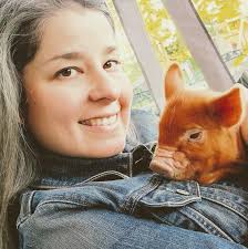 What is your opinion