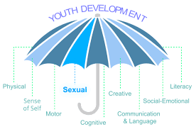 Image result for Sexual Development