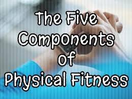 Team sports and fitness lesson #1 five physical fitness components 1. 5 Components Of Physical Fitness Ppt By Trending Technology In Tennessee Teachers Pay Teachers Physics Physical Fitness Google Slides