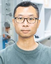 Self-assembled molecules as selective contacts for efficient and stable  perovskite solar cells