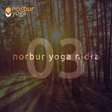 We did not find results for: Norbur Yoga Nidra 03 Abbie Norbury