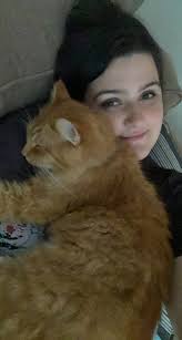 Lost cat near Arlington Loop and University Baptist Church