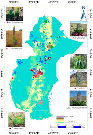 Image result for lobelia combine composition