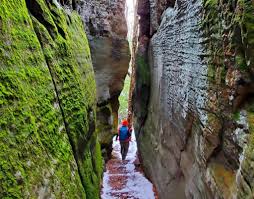 One of the things we do very well, one. Hike It Minister Creek Trail In Allegheny National Forest Access Nepa