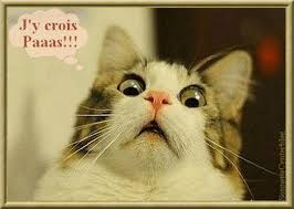 Joyeux anniversaire gif animé chat. Les 500 Meilleures Chat Joyeux Anniversaire Gif 265339