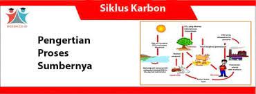 Siklus karbon adalah siklus biogeokimia di mana karbon dipertukarkan antara biosfer, geosfer, hidrosfer, dan atmosfer bumi (objek astronomis lainnya bisa jadi memiliki siklus karbon yang hampir sama meskipun hingga kini belum diketahui). Siklus Karbon Pengertian Proses Dan Sumber Penyumbangnya