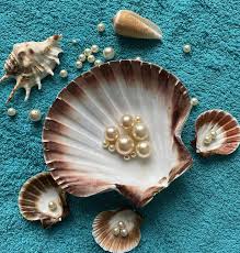 What Is a Pearl? Why Is Pearl So Precious?