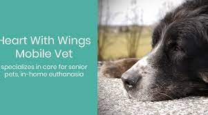 Sedation, euthanasia and care of remains. Heart With Wings Mobile Vet Specializes In Care For Senior Pets In Home Euthanasia Heart With Wings