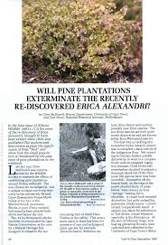 Image result for Laurembergia repens