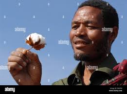 Meatu hi-res stock photography and images