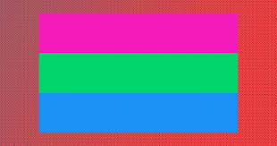 Lady gaga delivers historic speech at pride live's stonewall day concert presented by united. Happy Pride Month The Different Pride Flags And What Each Represents Nestia