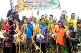 Pdam kabupaten rembang jawa tengah kini sudah bekerja sama dengan loket pembayaran online ppob griyabayar bank btn. Panen Raya Petani Rembang Berharap Tak Ada Impor Jagung
