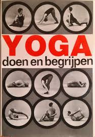 Bol Com Yoga Doen En Begrijpen A Van Lysebeth 9789020240016 Boeken