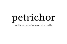 It S A Real Thing One Of My Favorite Scents Words Cool Words Favorite Words