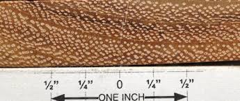 Image result for Afzelia