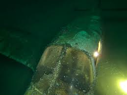 Tauchcenter Octopus Hamburg Diving Experience | TikTok