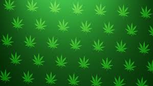 This is a very simple theme that you will surely appreciate having probably because of the fact that it has light blue background that can make your monitor pop out more than usual. Weed Background Wallpapers Hd Desktop And Mobile Backgrounds