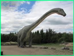 Kebanyakan dinosaurus diberi nama menurut ciri fisik khasnya. 20 Dinosaurus Reptil Dan Hewan Prasejarah Terbesar Dunia Fauna Hewan Binatang Tumbuhan Dunia Fauna Hewan Binatang Tumbuhan