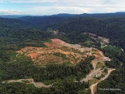 Pembangunan pembangkit listrik tenaga air (plta) batang toru di sipirok, tapanuli selatan, sumut ditinjau am hendroproyono dan rombongan, minggu (7/3/2021). Pasopati Analisis Plta Batang Toru Tidak Dibutuhkan