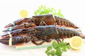 Astice alla catalana al barbecue: Come Pulire Astice Fresco O Congelato Facilmente