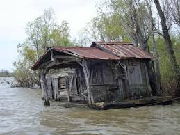 Maybe you would like to learn more about one of these? Photo Old Fishing Cabin From Route Atchafalaya Basin Swamp Tour Swamp Tours Fishing Cabin Swamp