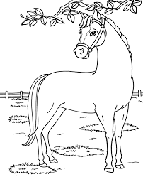 The spruce / wenjia tang take a break and have some fun with this collection of free, printable co. Dancer Barbie S Horse Coloring Page