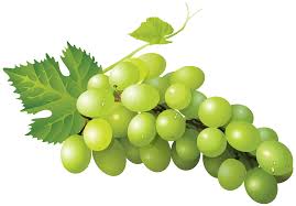 Grape Transparent Png Clip Art Image Gallery Yopriceville High Quality Images And Transparent Png Free Clipart Art Images Clip Art Free Clip Art
