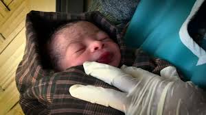 14 Colin Brazier Stock Videos, Footage, & 4K Video Clips