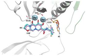 Image result for Integrase Strand Transfer Inhibitor