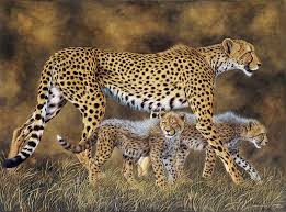 Image result for running cheetah painting