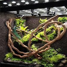 Flexible Bendable Jungle Vines For Terrarium 1 5 2 5 3m Zenlsh Bearded Dragon Accessories Reptilien Haustier Reptilien Terrarium Lebensraum