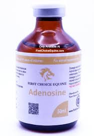 Image result for Adenosine