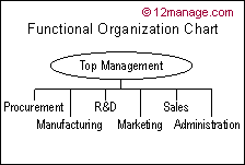 all about organization chart 12manage