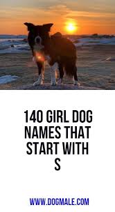 140 Girl Dog Names That Start With S Girl Dog Names Dog Names Girl And Dog