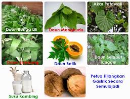 Orang hamil pun ramai juga yang kena sakit gastrik. Pengalaman Saya Dengan Sakit Gastrik Satu Ketika Dahulu