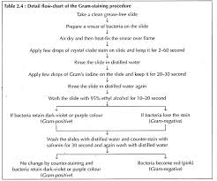 69 logical gram positive bacteria chart