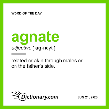Dictionary Com Word Of The Day Agnate In 2020 Uncommon Words Words Word Of The Day