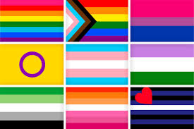 A history of the rainbow flag | national news | lincolnnewsnow.com 24 Lgbtq Flags And What They Mean Pride Month Flags Symbolism