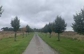 Finchdean and West Marden Circular Walk, Hampshire, England