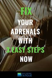 Why adrenal health matters, plus how you can support your adrenal glands you've probably heard some buzz about adrenal health lately, but do you know why it's important to have healthy adrenals—or what and where your adrenals are. Get Adrenal Fatigue Help With This Gaia Adrenal Health Review Quit Chronic Fatigue Adrenal Fatigue Adrenal Health Adrenals