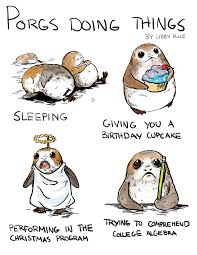 Pin On Famous Bozstore Com